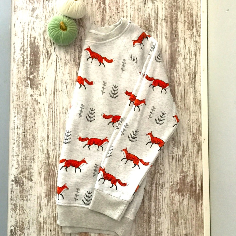 Women’s size extra large fox themed sweatshirt sweater by LA soul